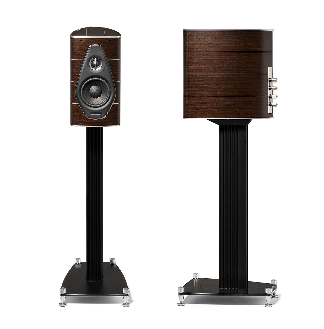 Sonus Faber Olympica Nova I -2- Audio Elite Colombia