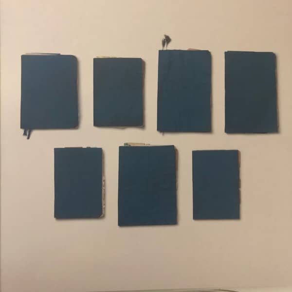 Max Richter – The Blue Notebooks (15 Years Anniversary Special Edition) – Inner – Audio Elite Colombia