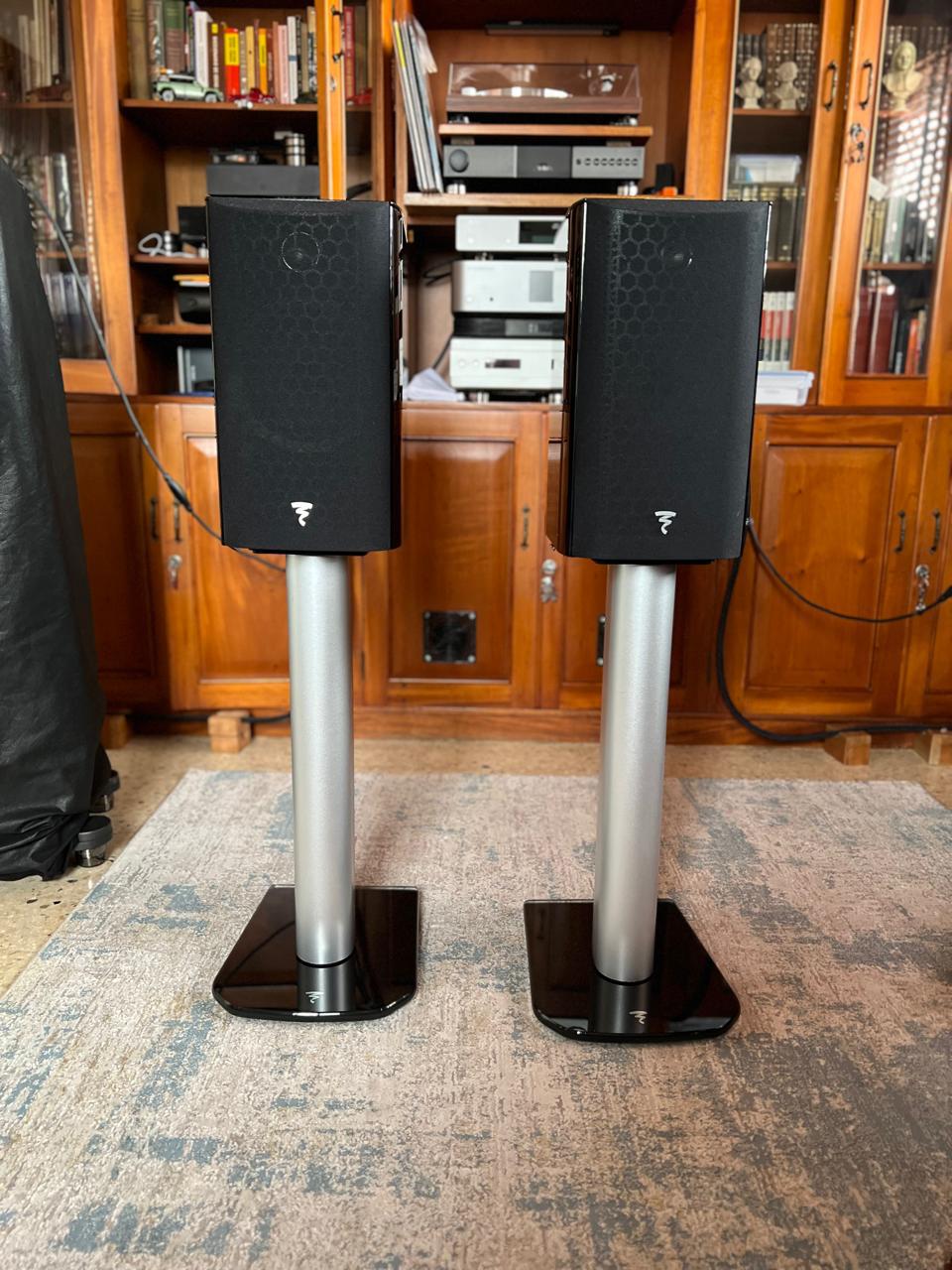 Focal-AriaEvoXN1-2