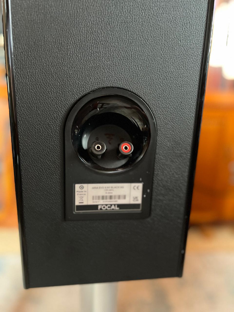 Focal-AriaEvoXN1-6