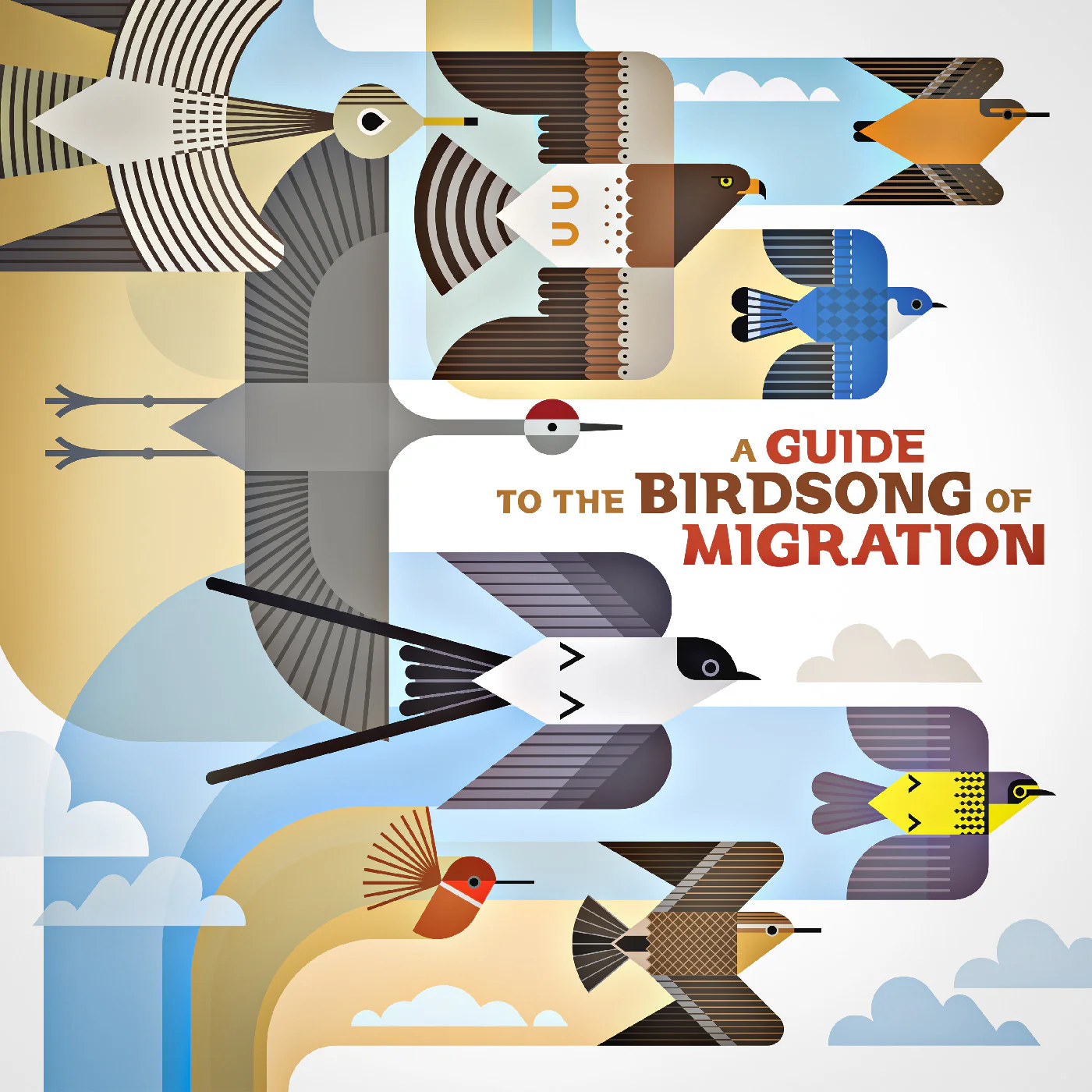 various-a-guide-to-the-birdsong-of-migration